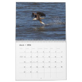 Bald Eagles Kalender (Mar 2026)