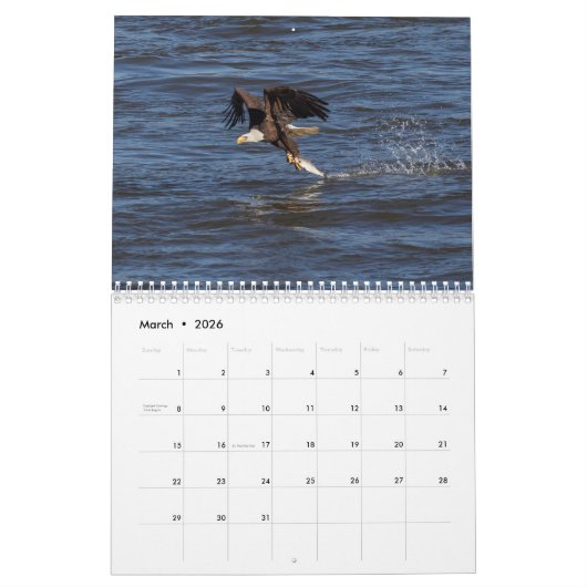 Bald Eagles Kalender (Mar 2026)