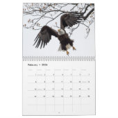 Bald Eagles Kalender (Feb 2026)