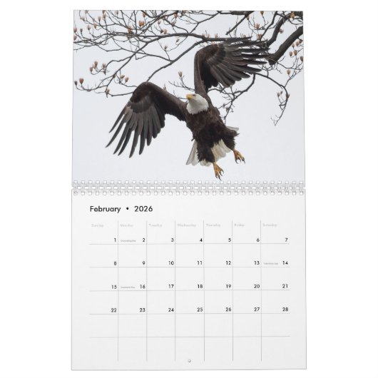 Bald Eagles Kalender (Feb 2026)
