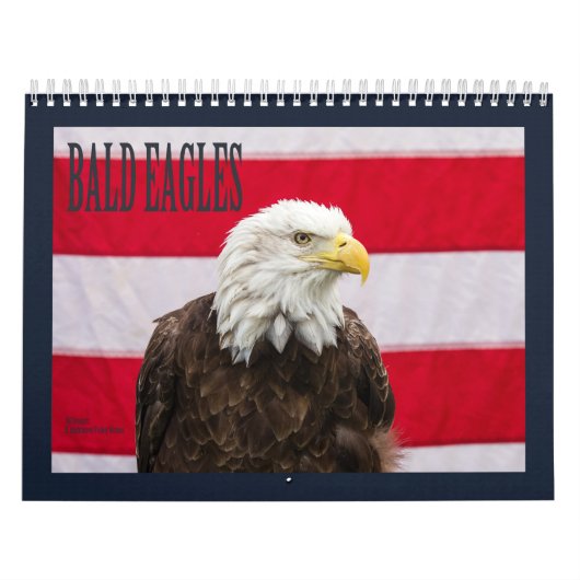 Bald Eagles Kalender (Hoes)