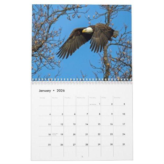 Bald Eagles Kalender (Jan 2026)