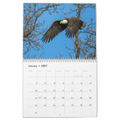 Bald Eagles Kalender (Jan 2027)
