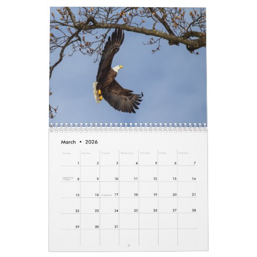 Bald Eagles Kalender (Mar 2026)