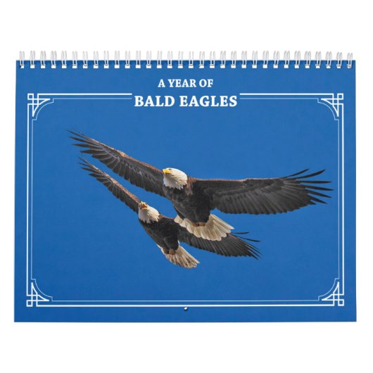 Bald Eagles Kalender (Hoes)