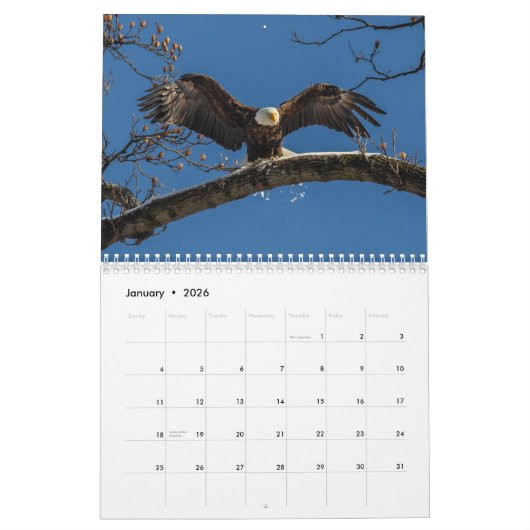Bald Eagles Kalender (Jan 2026)