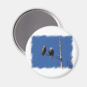 Bald Eagles Magneet (Voorkant / Achterkant)