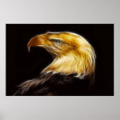 Bald Eagles met poster (Voorkant)