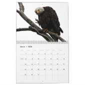 Bald Eagles of Columbiana Ohio Calendar Kalender (Mar 2026)