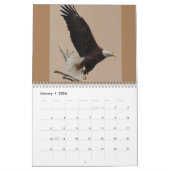 Bald Eagles of Columbiana Ohio Calendar Kalender (Jan 2026)
