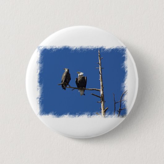 Bald Eagles Ronde Button 5,7 Cm (Voorkant)
