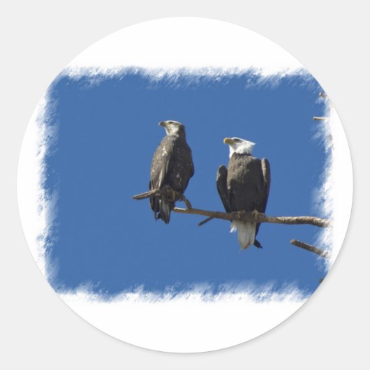 Bald Eagles Ronde Sticker (Voorkant)