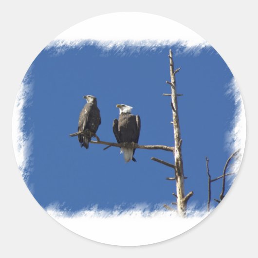 Bald Eagles Ronde Sticker (Voorkant)