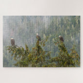 Bald Eagles | Tongass National Forest Alaska Legpuzzel (Horizontaal)