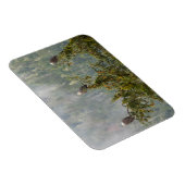 Bald Eagles | Tongass National Forest Alaska Magneet (Rechterzijde)