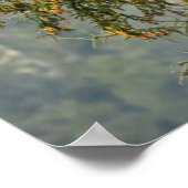 Bald Eagles | Tongass National Forest Alaska Poster (Hoek)