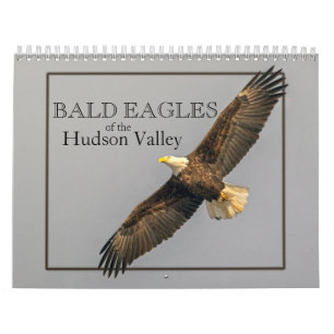 Bald Eagles van de Hudson Valley Calendar Kalender