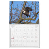 Bald Eagles van de Hudson Valley Calendar Kalender (Mar 2027)