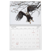 Bald Eagles van de Hudson Valley Calendar Kalender (Jan 2027)