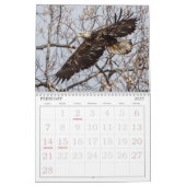 Bald Eagles van de Hudson Valley Calendar Kalender (Feb 2027)