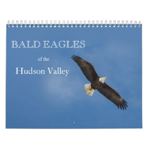 Bald Eagles van de Hudson Valley Calendar Kalender