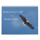 Bald Eagles van de Hudson Valley Calendar Kalender (Hoes)