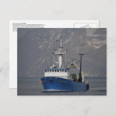 Bald Eagles verwelkomt het startpunt Briefkaart (Voorkant / Achterkant)