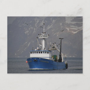 Bald Eagles verwelkomt het startpunt Briefkaart