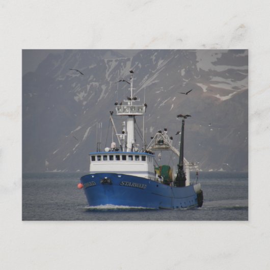 Bald Eagles verwelkomt het startpunt Briefkaart (Voorkant)