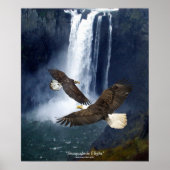 Bald Eagles & Waterfall Wildlife Art Poster (Voorkant)