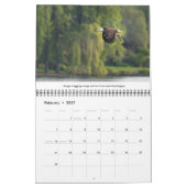 Bald Eagles Wildlife Fotografie Kalender (Feb 2027)