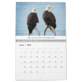 Bald Eagles Wildlife Fotografie Kalender (Mar 2026)