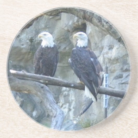 Bald Eagles Zandsteen Onderzetter (Voorkant)