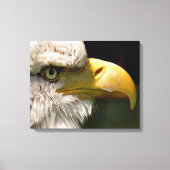 BALD ELGF CANVAS AFDRUK (Voorkant)