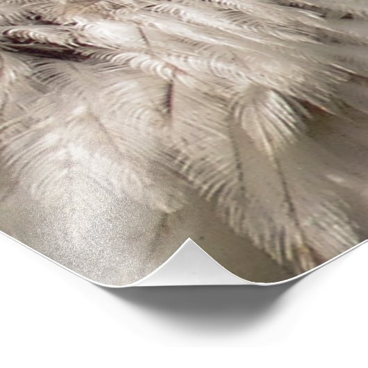 BALD ELGF FOTO AFDRUK (Hoek)