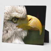 BALD ELGF FOTOPLAAT (Zijkant)