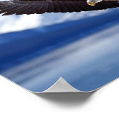 BALD ELGF IN ALASKA POSTER (Hoek)