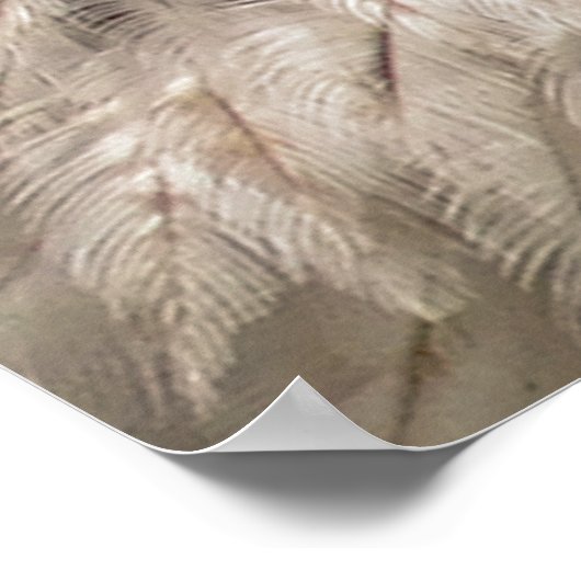 BALD ELGF POSTER (Hoek)