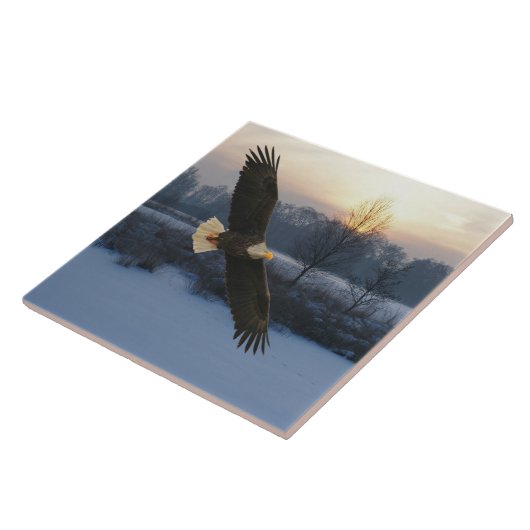 BALD ELGF TEGELTJE (Zijkant)