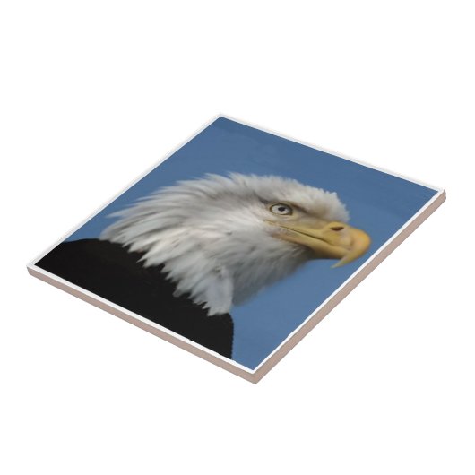 BALD ELGF-TILE TEGELTJE (Zijkant)