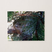 Bald Face Hornets Nest Legpuzzel (Horizontaal)