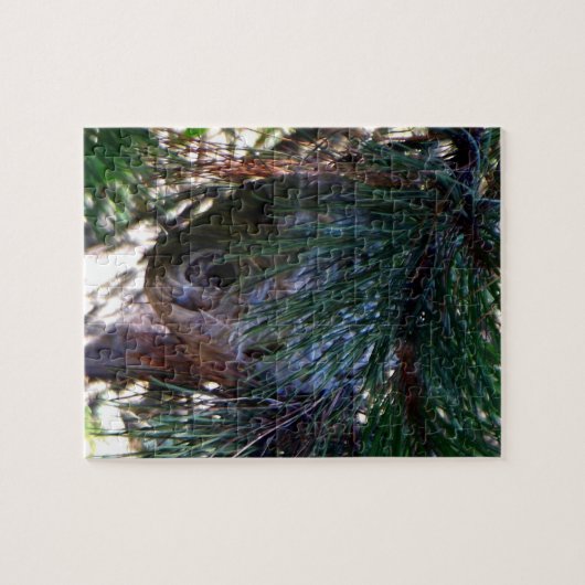 Bald Face Hornets Nest Legpuzzel (Horizontaal)