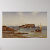 Bald Porcupine Island | 1868 Poster (Voorkant)