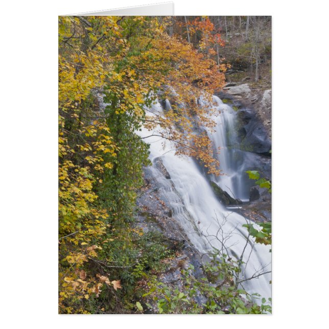 Bald River Falls (Voorkant)