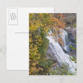 Bald River Falls Briefkaart (Voorkant / Achterkant)