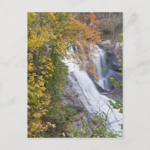 Bald River Falls Briefkaart