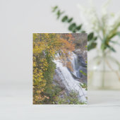 Bald River Falls Briefkaart (Staand voorkant)