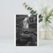 Bald River Falls bw.jpg Briefkaart (Staand voorkant)