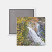 Bald River Falls Magneet (Voorkant / Achterkant)