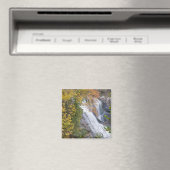 Bald River Falls Magneet (Insitu (Vaatwasser))
